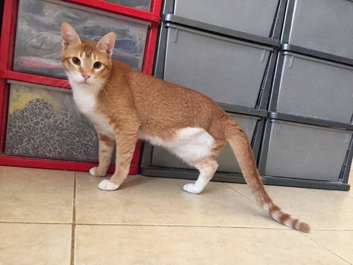 A One In A Million Meeting With A Lady With A Heart Of Gold