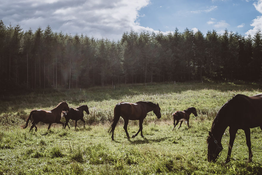 After Posting My Photo Project On Bored Panda I Lived A Year From Trading And Now I’m Releasing A Book After Posting My Photo Project On Bored Panda I Lived A Year From Trading And Now I’m Releasing A Book