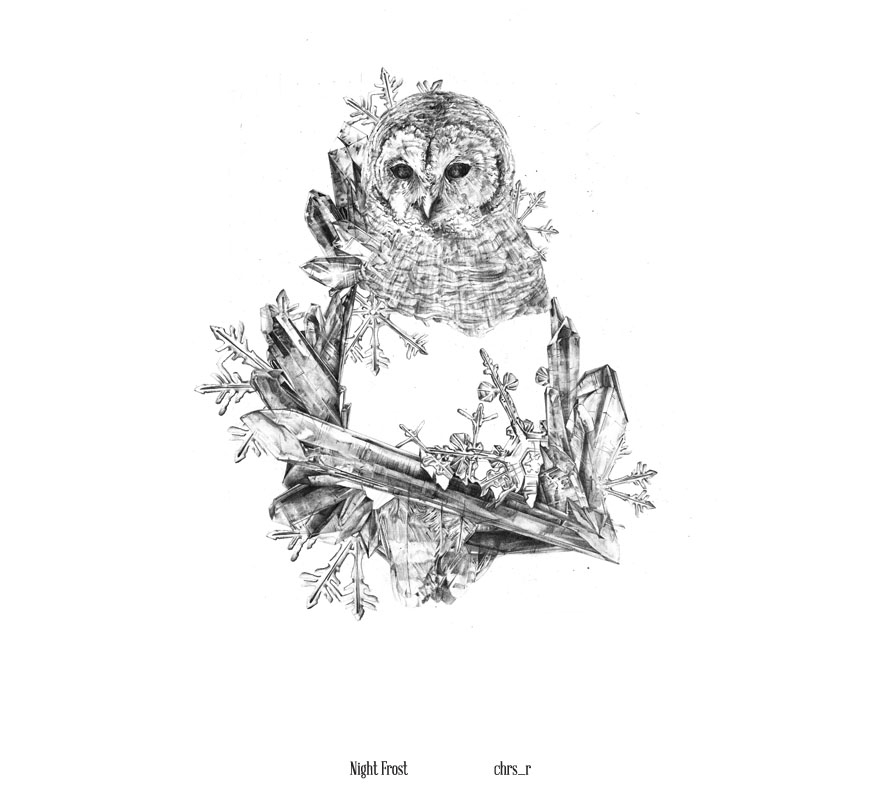 Night Frost
