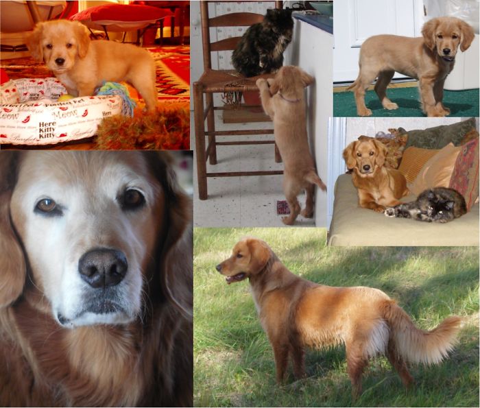 My Annie (with Her Sister Murka)