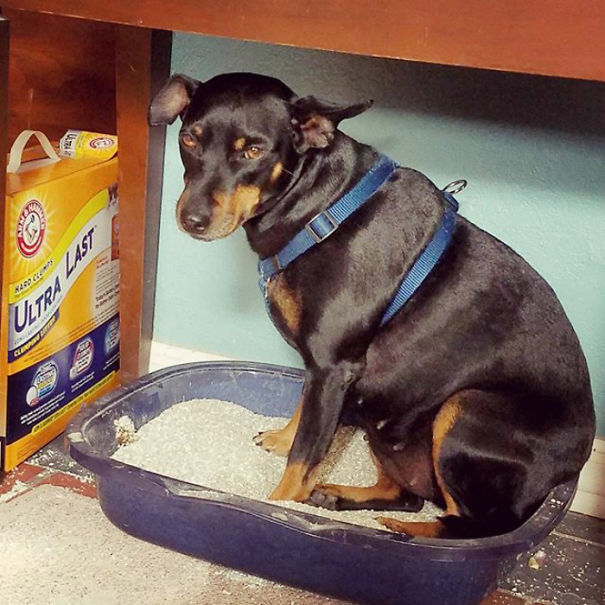 What Is Charla Doing There?