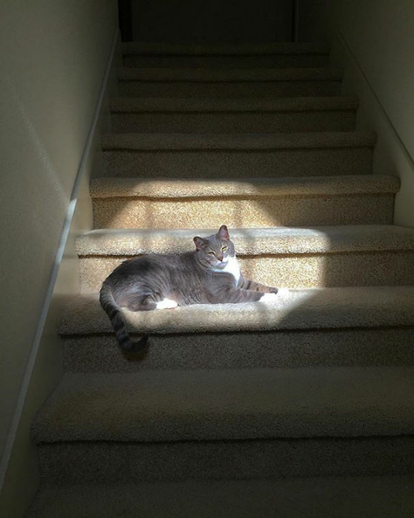 Dorian Finds His Light