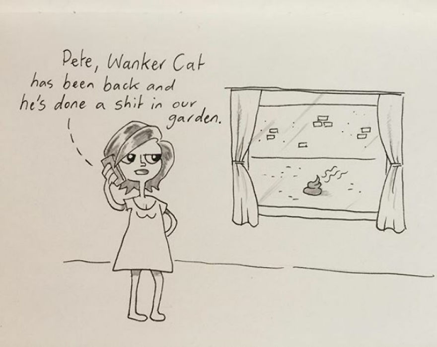 A Cat That Lives On Our Street Likes To Occasionally Pay Us A Visit And Shit In Our Garden