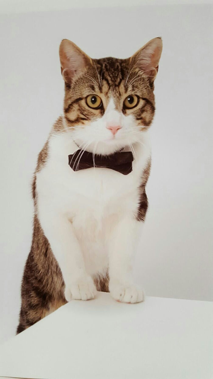 He Likes To Feel Fancy On The Weekends.