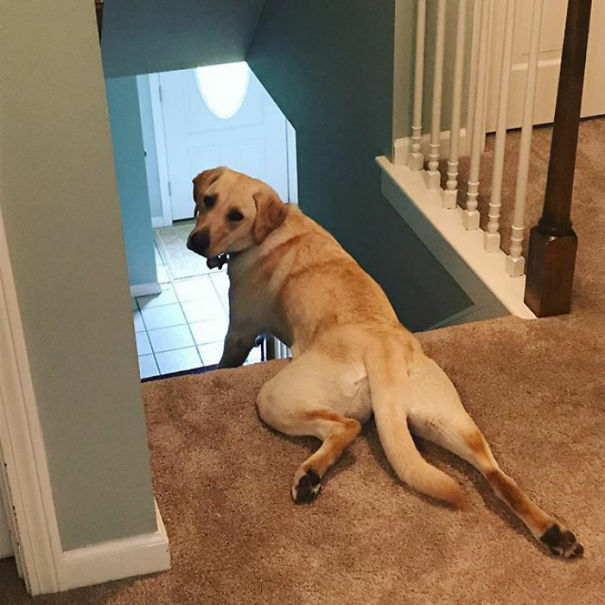 You Know Dad It's Important To Stretch Before Doing Any Major Exercises