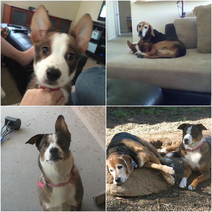 Jazzmine, Two Years Apart