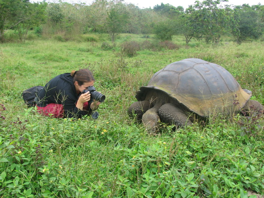 Behind The Scenes Of A Wildlife Photographer
