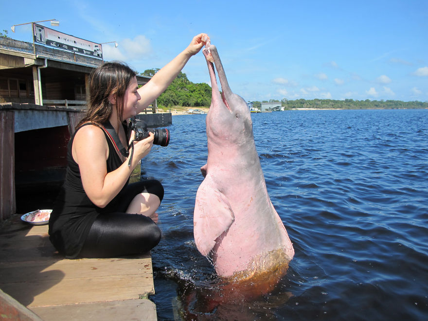 Behind The Scenes Of A Wildlife Photographer