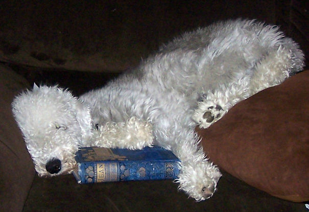 What A Great Ending.....