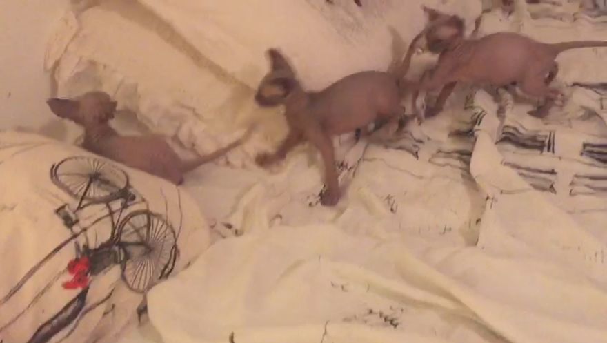 But Mooooommm I'm Not Tired Yet, I Don't Want To Go To Bed