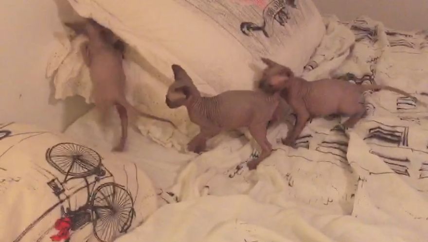 But Mooooommm I'm Not Tired Yet, I Don't Want To Go To Bed