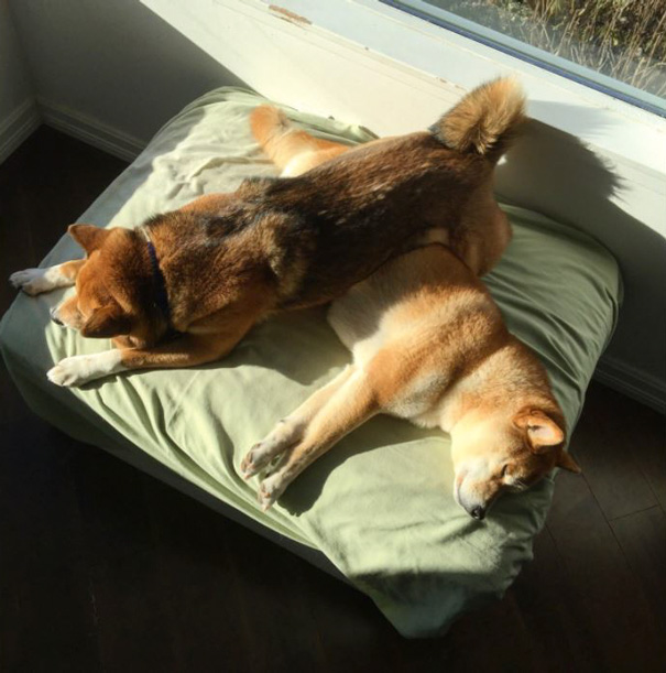 Life Lesson: Choose Your Battles