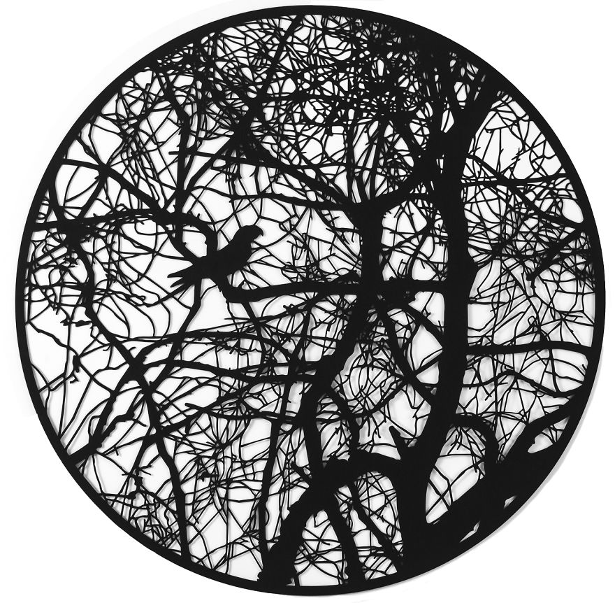 Carolina Parakeet (Extinct)