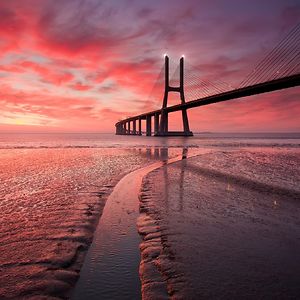 william-jacobs avatar