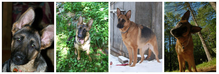 Ciana: 10 Weeks, 6 Months, 2 Years, And 7 Years. *fixed*