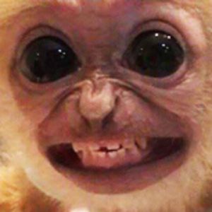 boredpanda_75 avatar