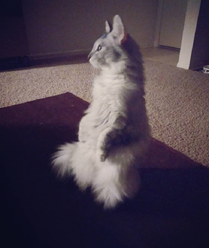 She Sits Like This When She Heard Something......