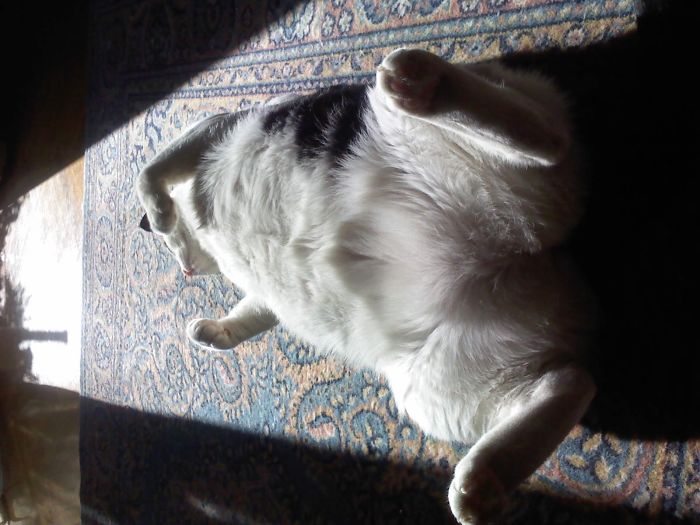 This Is How "Having Perspective" In Life Looks Like!