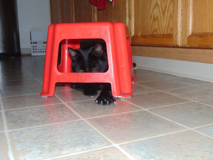 Sebastian's 2nd Fav. Game : Tank Attack