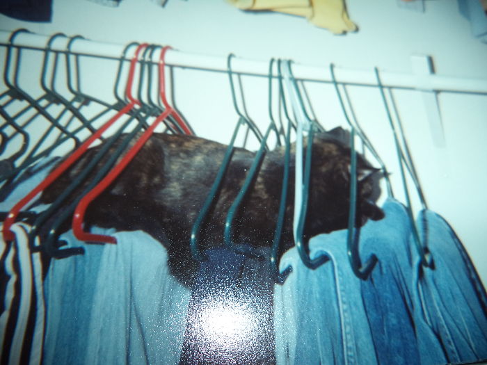 This Is My Favorite Place To Sleep. Shhhhh.