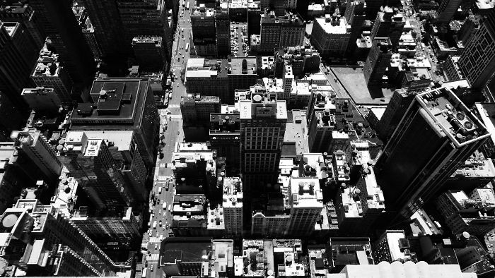 Mikeshake : New York