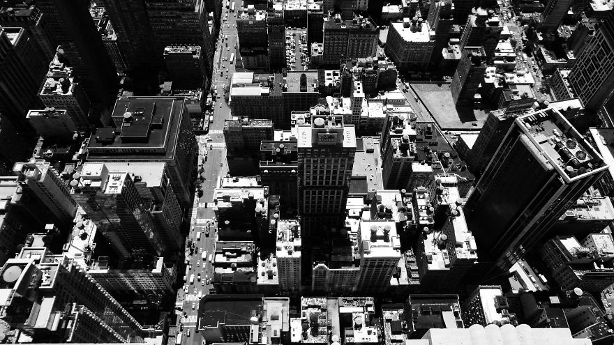 Mikeshake : New York