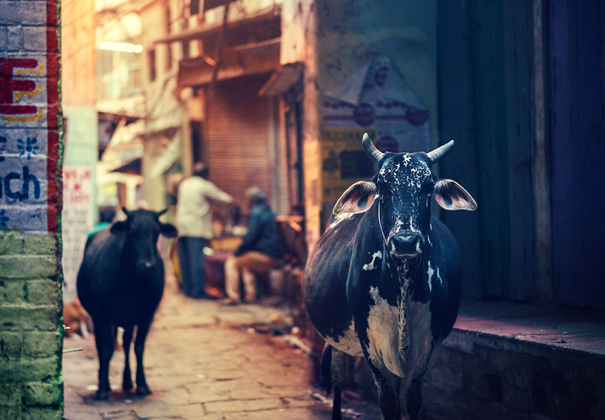 I Traveled To World's One Of The Oldest City To Photograph Its People And Spiritual Atmosphere