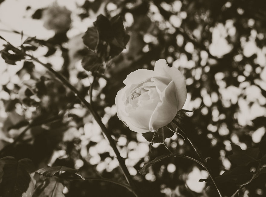 10+ Monochromatic Photographs Of The Most Modern District Of Rome