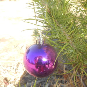 laraburton55_1 avatar