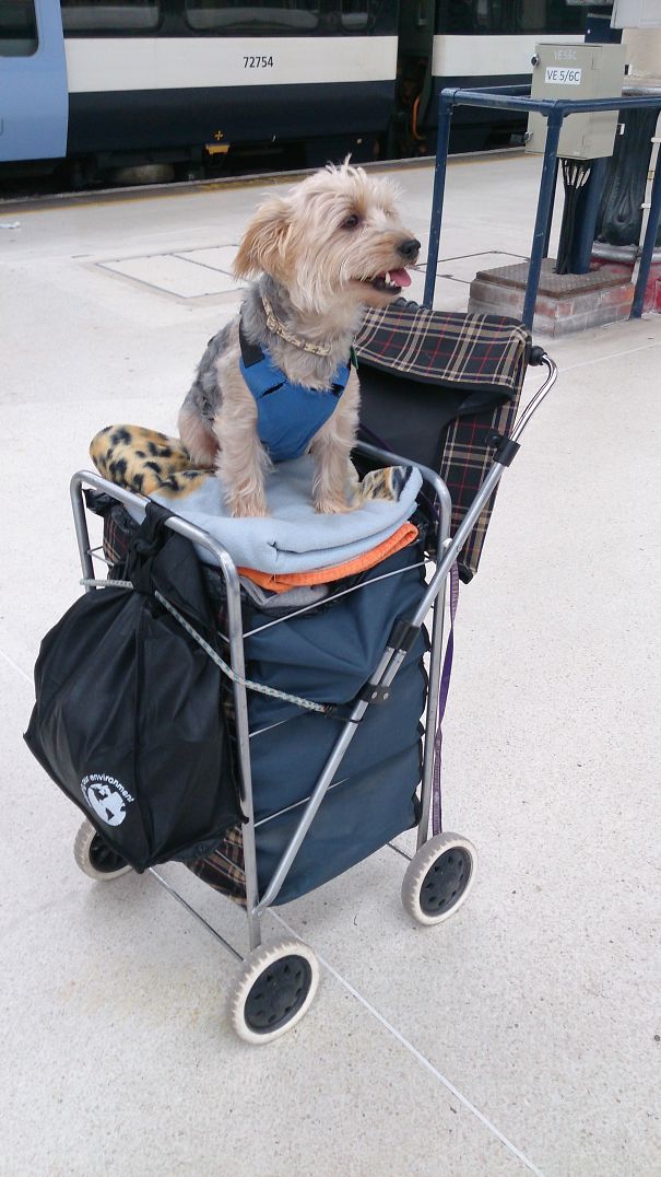 She Said - "i'm Not Walking Any Further!"