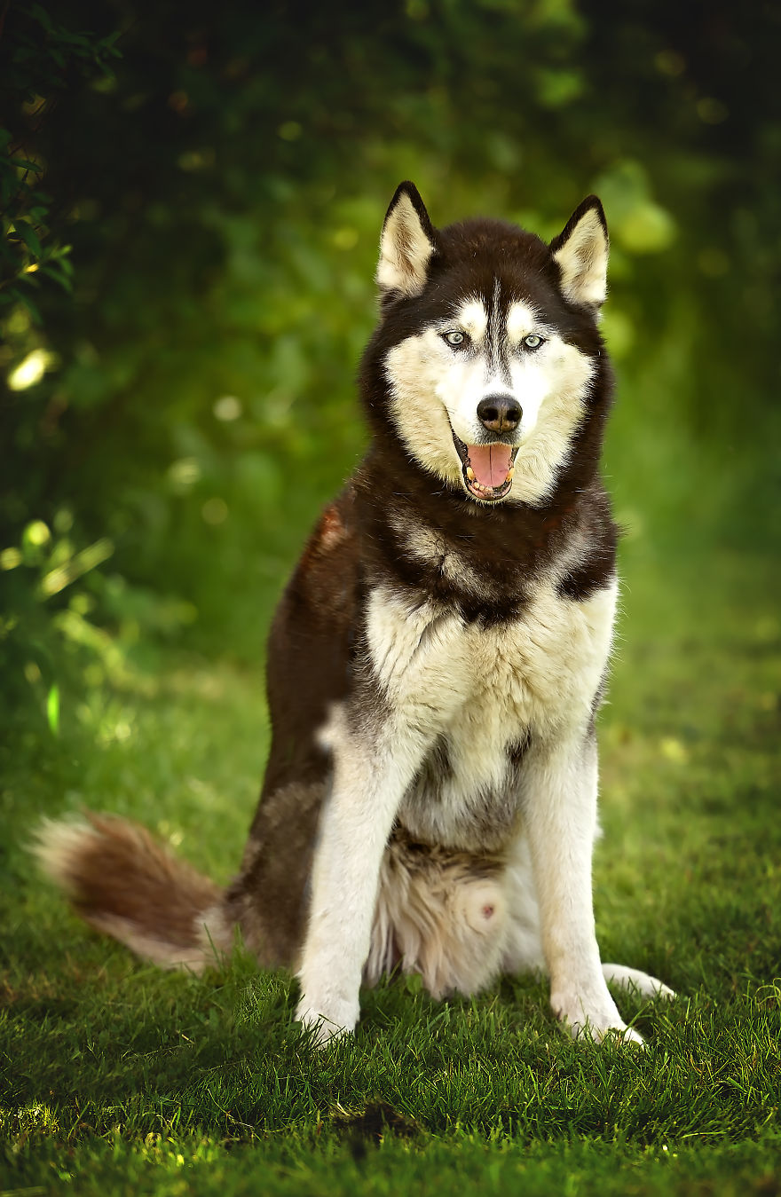 Amazing Children's Day In The Countryside Amazing Children's Day In The Countryside