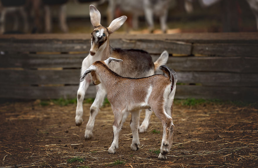 Amazing Children's Day In The Countryside Amazing Children's Day In The Countryside