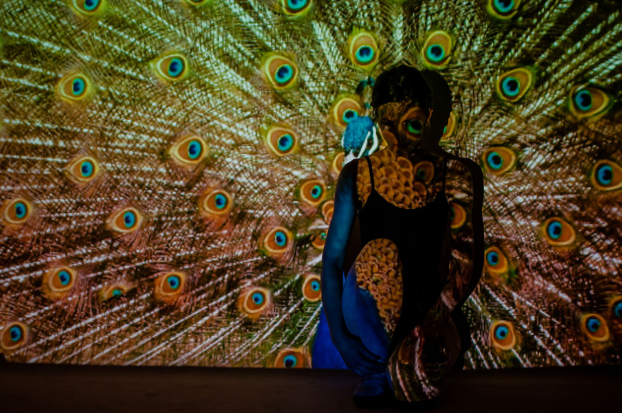 I Used A Projector To Surprise The Magic Of A Soul