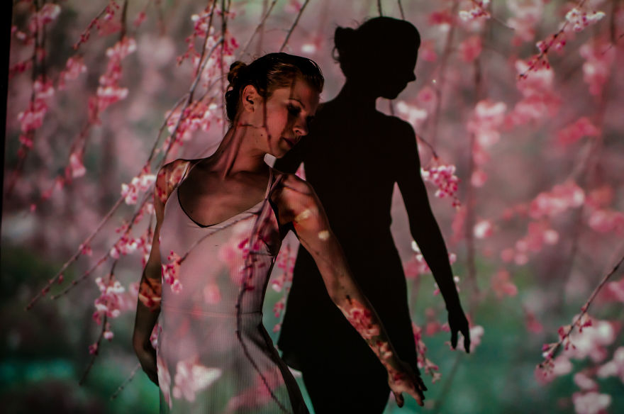 I Used A Projector To Surprise The Magic Of A Soul