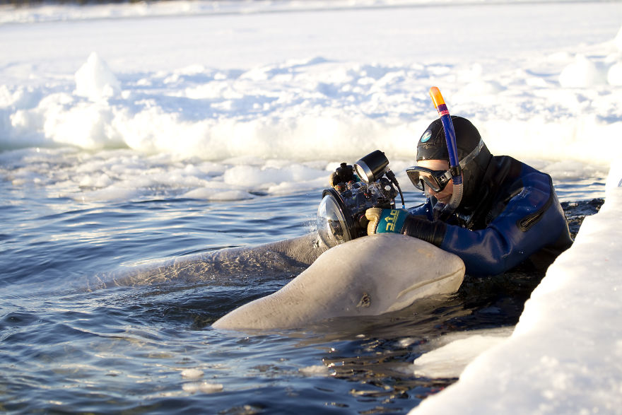 Behind The Scenes Of A Wildlife Photographer