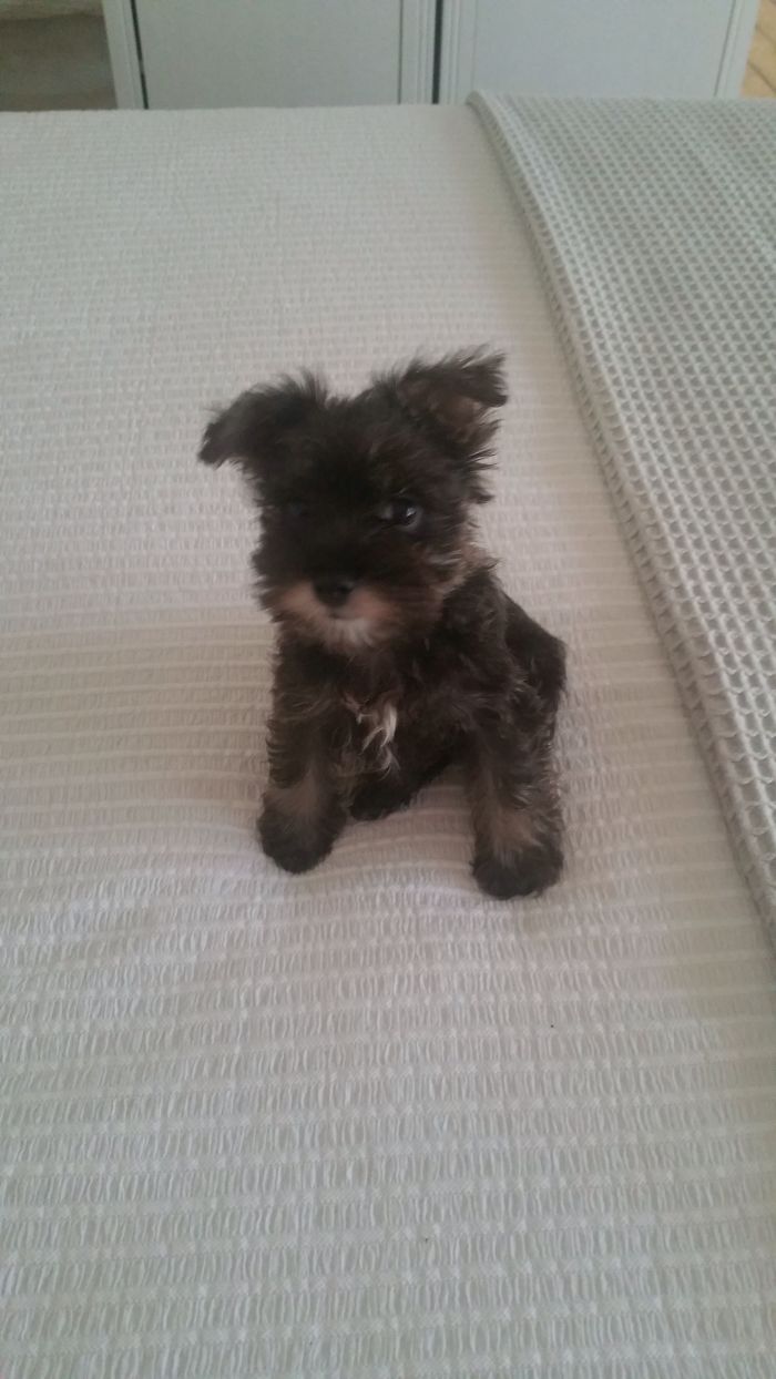 Pablo Is Still A Cutie After 2 Years!