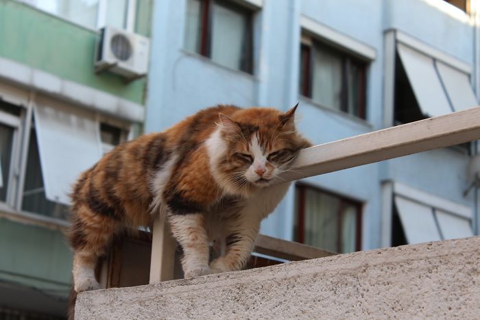 How Can This Be Comfortable?