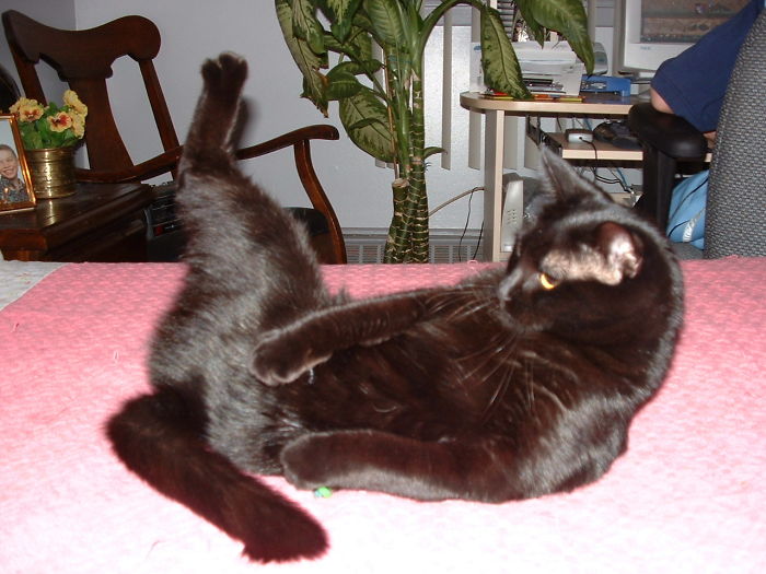 I Have No Clue What She's Trying To Do!!