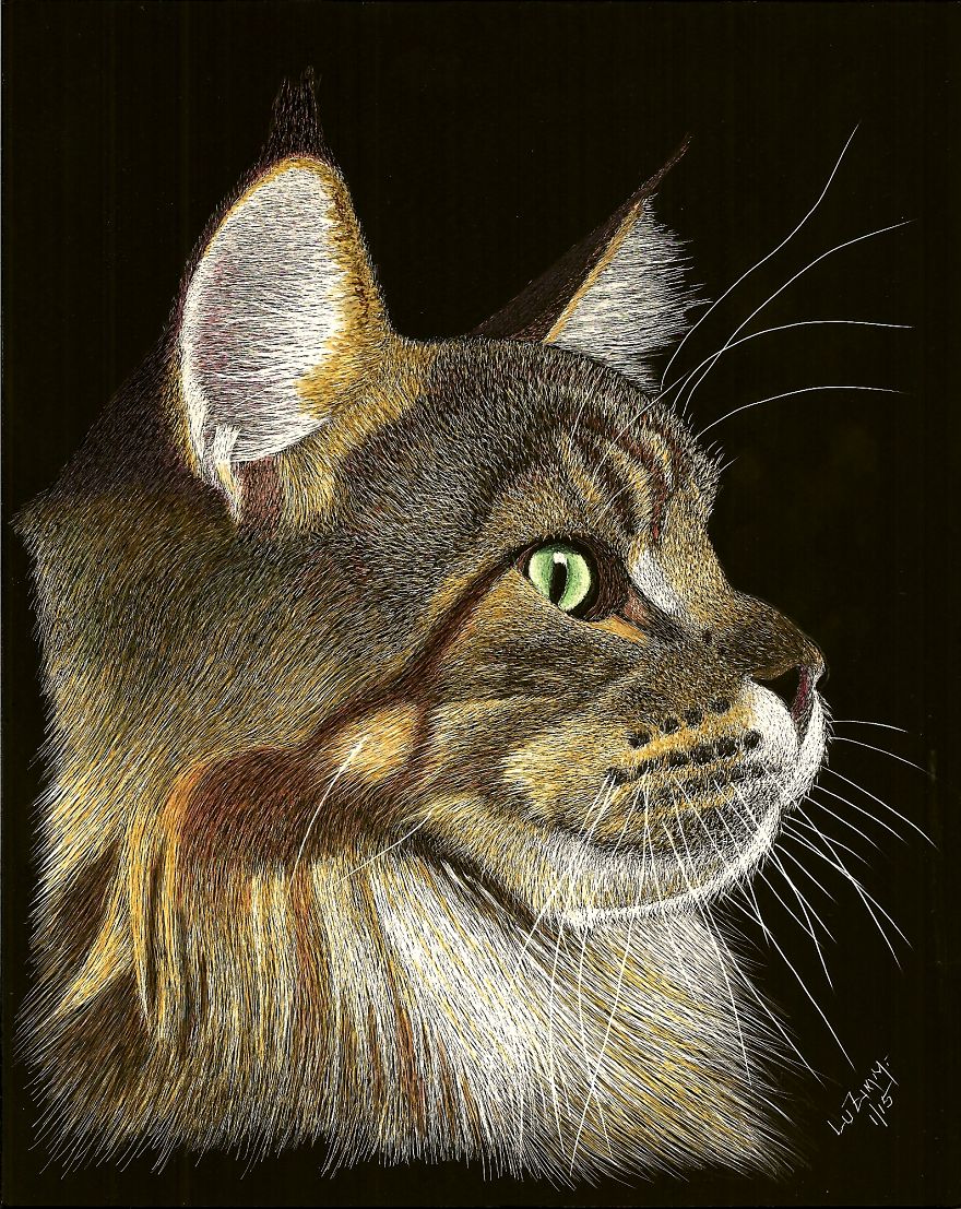 "La Gata" Another Original Scratch Art - Last Year She Ended Up In Seattle Too - Lots Of Cat Lovers Out There Including Me! - Www.luzimmscratchart.com