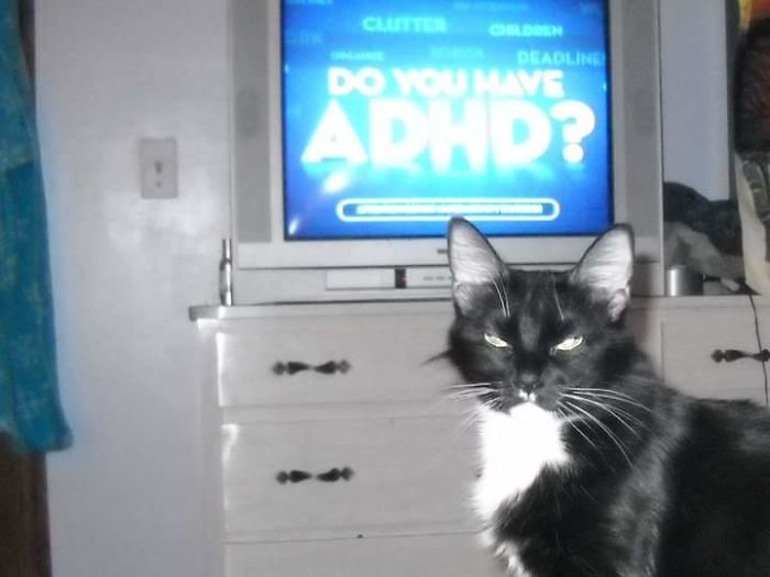 Well? I'm Waiting....