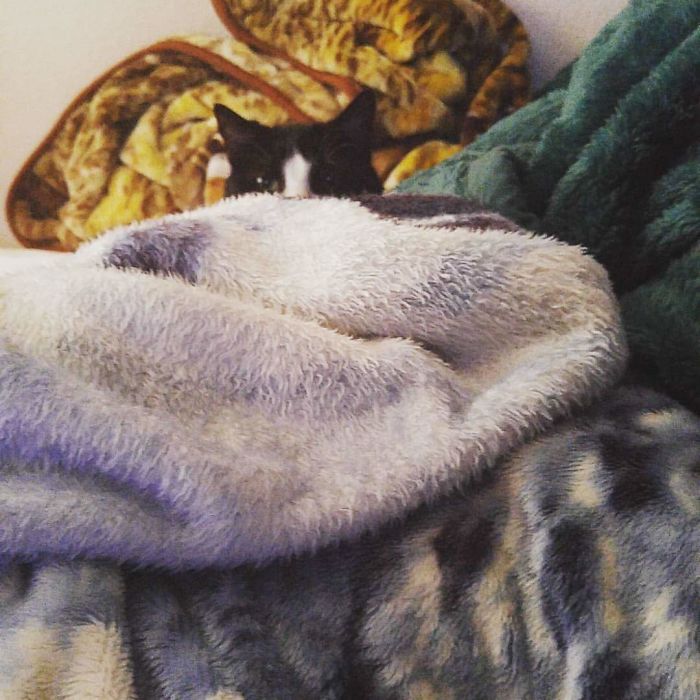 Al Being The Bubba He Truly Is.