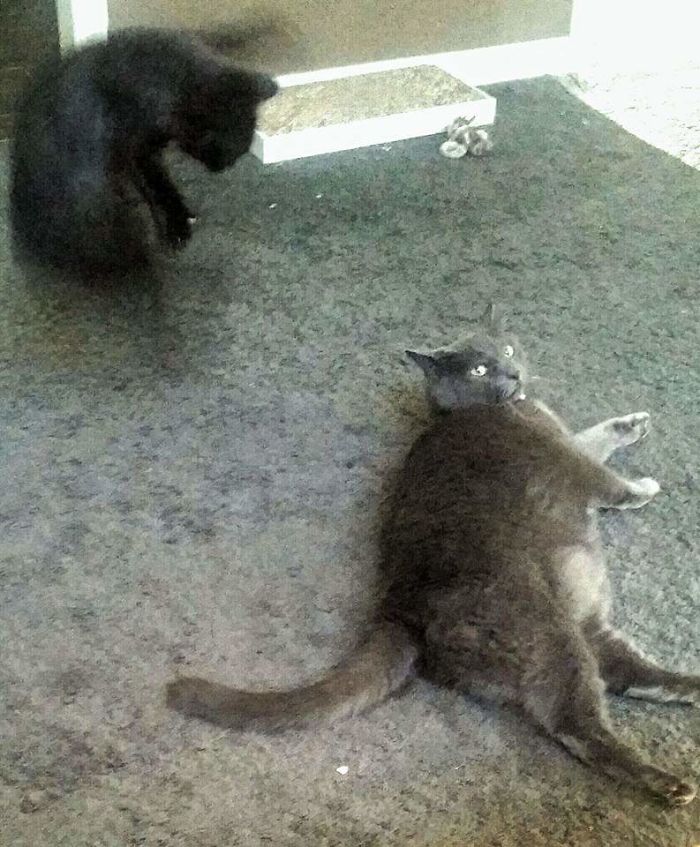 I Wish A Had Recorded This Moment Instead Of Just Snapping A Photo.