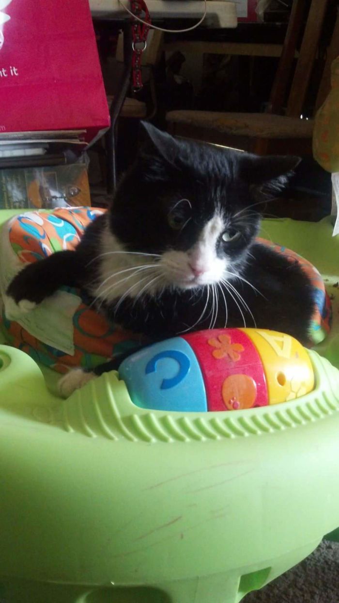 Bubba Al Showing Everyone What A Baby He Is.