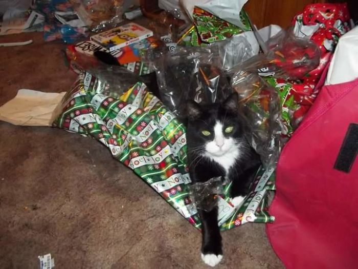 Merry Christmas You Filthy Animal.