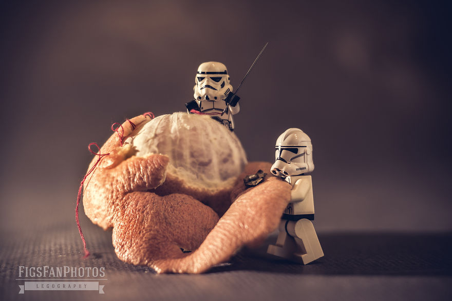 Peel Of The Mandarin's Rind Is A Difficult Task. But Sew It Back... It's Art! 