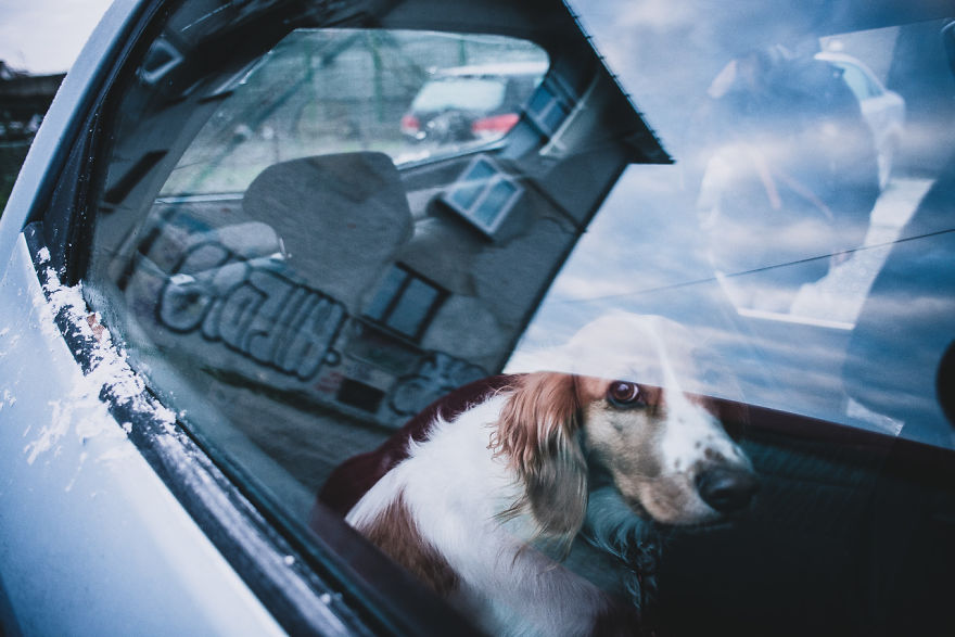 Meet All The Pets I Met While Living With Other People During A Year Meet All The Pets I Met While Living With Other People During A Year