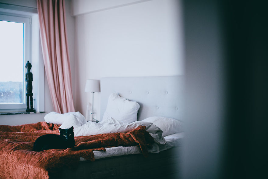 Meet All The Pets I Met While Living With Other People During A Year Meet All The Pets I Met While Living With Other People During A Year