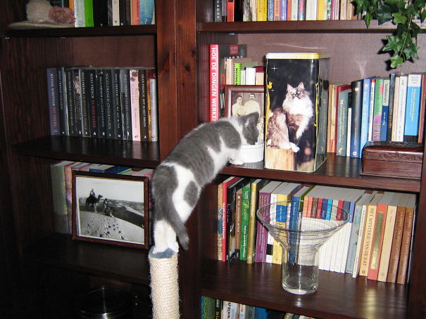 Up Here It Tastes Even Better