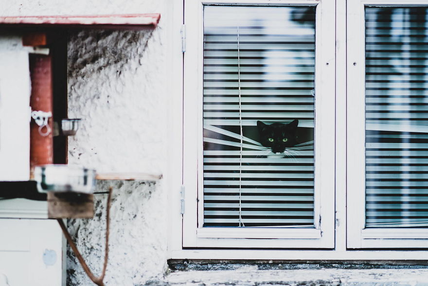 After Posting My Photo Project On Bored Panda I Lived A Year From Trading And Now I’m Releasing A Book After Posting My Photo Project On Bored Panda I Lived A Year From Trading And Now I’m Releasing A Book