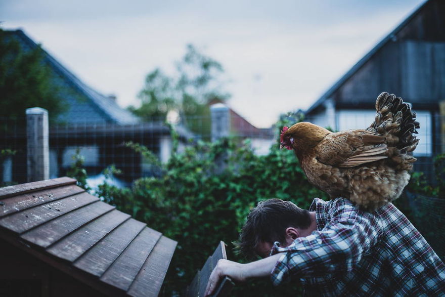 Meet All The Pets I Met While Living With Other People During A Year Meet All The Pets I Met While Living With Other People During A Year